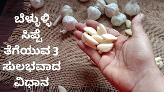 ಬೆಳ್ಳುಳ್ಳಿ ಸಿಪ್ಪೆ ತೆಗೆಯುವ 3 ಸುಲಭವಾದ ವಿಧಾನ || 3 ways of peeling garlic || how to peel garlic