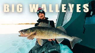 ICE FISHING FOR BIG WALLEYE | FEELS GOOD TO BE BACK 😎