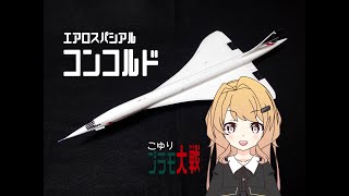 【プラモ大戦】1/144　コンコルド　レベル