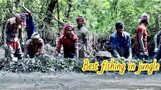 Best fishing in jungle | জঙ্গলে সেরা মাছ ধরা | না দেখলে বিশ্বাস করবেন না | Bangladesh fishing |