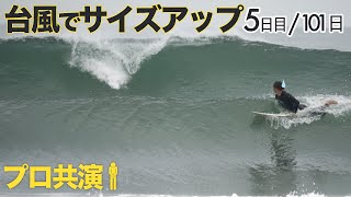 【5日目】台風ウネリの仙台新港・撮るより入りたい波！プロサーファーセッション他