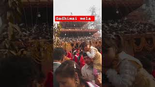 Gadhimai mela #Gadhimaimela #bara #mela #hindisong #bhojpuri