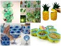 Best Recycled Plastic Bottles Ideas