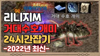 [ LINEAGE M ] 리니지M 중립보스 거대수호개미 24시간잡아보기 [ 개안나와 ]