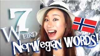 7 Weird Norwegian Words 7奇怪挪威语