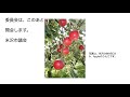 令和２年２月２８日米沢市議会産業建設常任委員会協議会