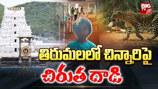 తిరుమలలో చిరుత దాడి ఘటన | తిరుమలలో విషాదం | బిగ్ టీవీ తెలుగు