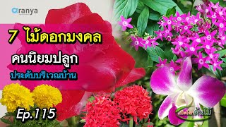 7 ไม้ดอกมงคล ที่คนนิยมปลูกภายในบริเวณบ้านเปิดโลกต้นไม้ |Aranya Channel