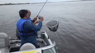 Fishing in Montreal, Canada.