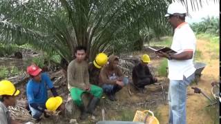 Plantation Worker Interview