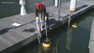 Nauticus sea bins collect over 1,000 pounds of garbage in a year