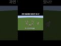 과연 철골렘은 쓸모있는가... 마인크래프트 shorts