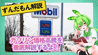 【ずんだもん解説】ガソリン価格の高騰が止まらない！ずんだもんが、ガソリン価格が上昇し続ける理由を徹底解説します！