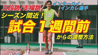 シーズン間近！！インハイ/インカレ選手の試合調整方法紹介！【陸上】【試合】【三段跳】【走幅跳】