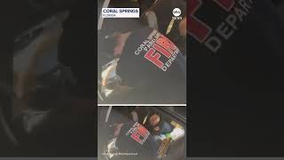 Florida firefighters help free pet python from inside car