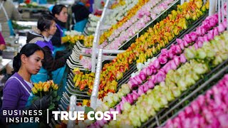 Why Flowers Are So Cheap, And Who’s Paying The Price | True Cost | Business Insider