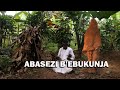 ABASEZI BEBUKUNJA EP 3 VJ BANK