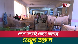 দেশে ক্রমেই বেড়ে চলেছে ডেঙ্গুর প্রকোপ | Dengue