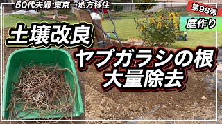 【庭作り】地中のヤブガラシ大量除去　土壌改良にはもみがら混ぜて春を待ちます