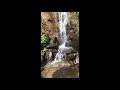 戸隠神社　滝　戸隠蕎麦　奥社・九頭龍社へ　＃togakushi shrine 滝　＃蕎麦　＃waterfall ＃旅行　＃trip japan culture