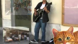 DWAIN FARMERY STRAY CAT STRUT.mpg