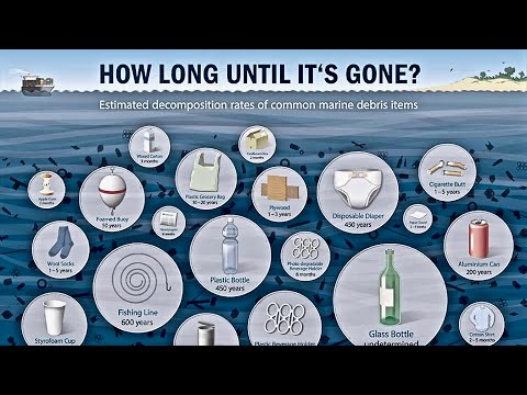 How long does plastic take to decompose?