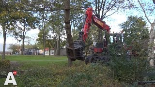 Gemeente start met kap van 1796 bomen