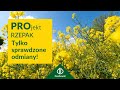 PROjektRZEPAK.pl | Dobór najlepszych odmian rzepaku ozimego 🌱