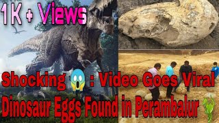 Shocking 😱: Dinosaur 🦕 Eggs found near Perambalur | Video goes Viral | Tamil Nadu | India