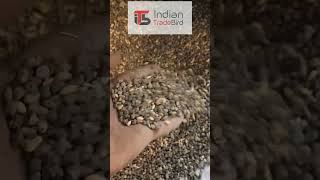 Magnetic destoner for wheat | Indian Trade Bird