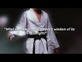 Taekwondo | walk off the earth lyrics