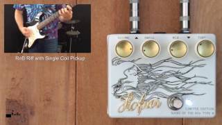 ThePedalGuy Presents The Hofner Sound Of The 60s Reverb Pedal