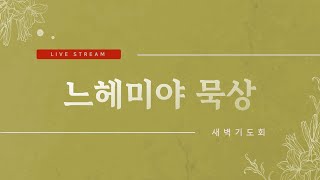 느헤미야 묵상 | 새벽기도회 | 2024.9.26