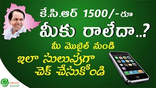 Balance enquiry of all banks (2-Simple Methods) || KCR 1500/- రూ. వచ్చాయో లేదో ఇలా చూడండి ||