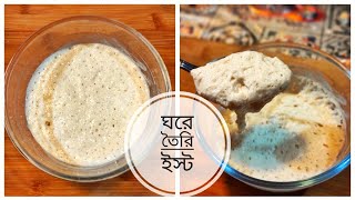 মাত্র 3 টি উপকরণ দিয়ে তৈরি ইস্ট। Homemade Yeast /পারফেক্ট ইস্ট ঘরে তৈরি