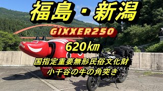 【ジクサー250】国道252号沿線（柳津・三島・金山・只見）山古志・小千谷・長岡周辺ツーリング【牛の角突き】