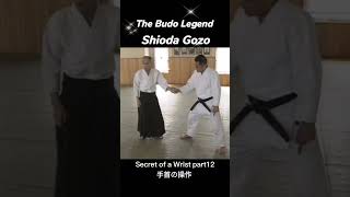 【part12】 do quickly. #shorts #budo #shiodaaikido #aikido #gozoshioda #塩田剛三 #渋川剛気