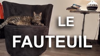 LE FAUTEUIL -  PAROLE DE CHAT