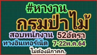 หา​งาน​ กรมป่าไม้​ เปิด​สอบ​พนักงาน ​52 อัตรา