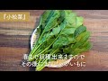 5 recommended vegetables for after cropping autumn potatoes learned from japanese farmers