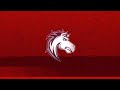 2017 ogden mustangs playoff intro video