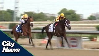 Will horse racing be added to Ontario's iGaming services?