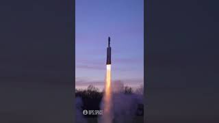 Falcon Heavy Model Rocket