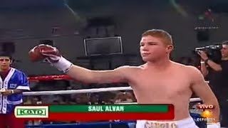 Saul Alvarez - Michel Rosales