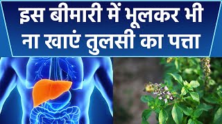 Tulsi का पत्ता खाना इस बीमारी खाना खतरनाक । तुलसी के पत्ते खाने के नुकसान | Boldsky *Health