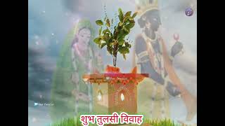 Shubh Tulsi Vivah Tulsi Wedding Dev Uthani Ekadashi Whatsapp Status तुलसी विवाह देवउठनी एकादशी