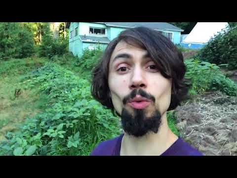 Is rocky soil bad for plants?