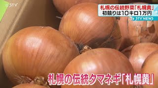 初競りは１０キロ１万円　札幌の伝統野菜「札幌黄」が初出荷