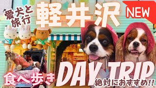 【最新】愛犬と軽井沢旅行♡グルメ＆人気スポットを大公開‼️✨✨