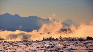 1709 11 0255　朝の立ち上る雲海と富士山と八ケ岳連峰と雪原